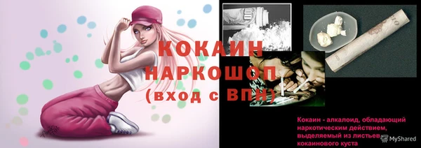 трава Наволоки