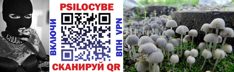 Купить закладки  Абакан  Галлюциногенные грибы Psilocybine cubensis 