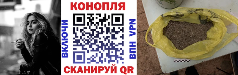 Купить закладки  Абакан  Бошки марихуана SATIVA & INDICA 